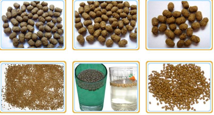 Pellet Fish Feed Production Line