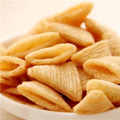Fried Snack Processing Line